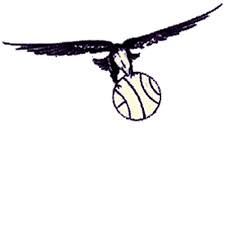 The hawks were founded as the black hawks around three small settlements on the border of illinois and iowa in 1946. Atlanta Hawks Logo History Retroseasons
