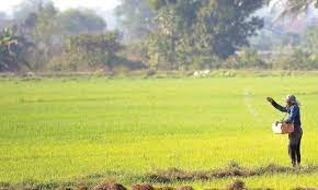 Agriculture is an important sector in malaysia. Malaysia Eyes Agricultural Modernisation To Revive The Sector
