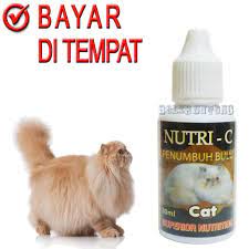 Maybe you would like to learn more about one of these? Jual Nutri C Vitamin Bulu Kucing Botak Pitak Rontok Penumbuh Bulu Kitten Kab Tangerang Boleh Untung Tokopedia