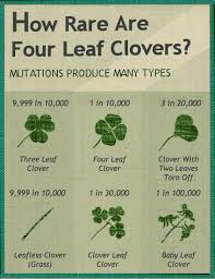 For a little bit of joie de vivre! How Rare Are Four Leaf Clovers Four Leaf Clover Clover Leaf Clover Quote