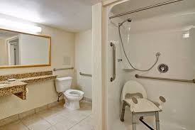 accessible bathroom with a lower toilet