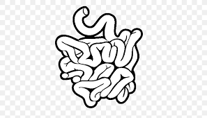 Small Intestine Large Intestine Human Anatomy Drawing Png 600x470px Watercolor Cartoon Flower Frame Heart Download Free All of the proportions stay the same—you just need to learn. small intestine large intestine human