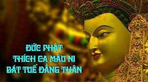 Đức Pháp Vương Gyalwang Drukpa an vị tôn tượng Đức Phật Thích Ca Bát Tuế  Đẳng Thân