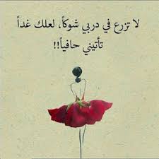 صور جميلة 2021 hd خلفيات جميله جدا للفيس بوك يلا صور