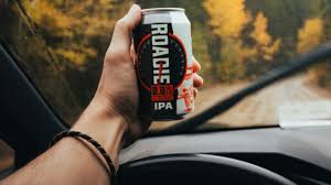 Introducing Roadie: A New Never-Alc Craft Brew Offering Full Flavor Without  Compromise - Brewer Magazine