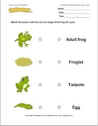 Pin By Ready Teacher On Kinderland Collaborative Lifecycle Of A Frog Life Cycles Kindergarten Science
