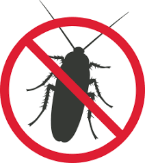 If a tenant notifies the landlord about a pest problem and the landlord does not take action, the tenant has several options. Do Landlords Have To Provide Pest Control In Florida