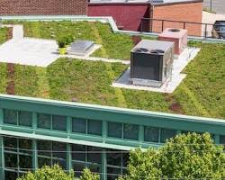 Image of Green roof on top of a building
