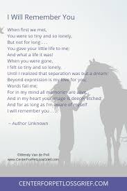 Pet Loss Poems To Heal Your Heart And Soul Center For Pet Loss Grief Horse Riding Quotes Inspirational Horse Quotes Horse Lover Quote