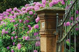 Read on to learn about the plant types that work best for privacy and how you can use them in your landscape. Landscape Fancy Fencing