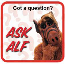 Zoe samuel 6 min quiz sewing is one of those skills that is deemed to be very. Alf Trivia Alf Tv
