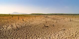 Africa Greenpeace Calls For A Continental Response To Climate Change Afrik 21