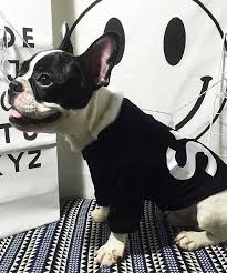 シュプリーム 大型犬 服 パーカー supreme boxログ ドッグウェア プルオーバー 犬服 防寒 ペット服 犬 ペット用品