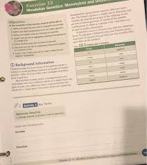 The monohybrid cross problems 2 worksheets has worked for my students. Solved Exercise 12 Mendelian Genetics Monohybrid And Obj Chegg Com