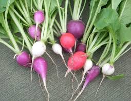 Si vous souhaitez planter des poireaux perpétuels, mettez en terre les bulbes avec la pointe dirigée vers le haut. Que Planter Au Potager En Septembre Idmarket Com