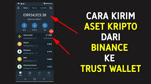Cara Kirim Bnb Dari Binance Ke Trust Wallet Evotekno