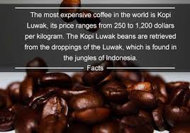 The Most Expensive Coffee Expensive Coffee Coffee Time Kopi