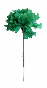 We did not find results for: Case Of 100 Emerald Green Carnation Bulk Silk Flower Picks 3 5 Bloom X 5 Tall Green Carnation Bulk Silk Flowers Silk Flowers Wholesale
