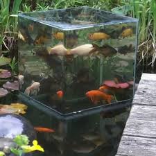 May i ask how do you manage ventilation when growing herbs or plants in the tank? How To Build A Fish Tower Diy Observation Tower For Fish Pond Mindy