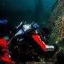Hyundai Motor Expands Healthy Seas Partnership to Advance Ocean Conservation in US and Beyond