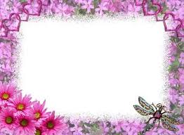 рамки для фотошопа 8 марта скачать бесплатно без регистрации Ramka Cvety Dlya Fotoshopa 5 Tys Izobrazhenij Najdeno V Yandeks Kartinkah Butterfly Frame Floral Border Borders And Frames