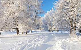 Submit wallpapers and get paid for them. How To Actively Prepare For When Winter Is Coming Winter Desktop Background Winter Scenery Winter Wallpaper Desktop