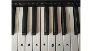 Einstellungen für kuvert anpassen und mit diesem. Klavier Beschriften Das Klavier Tastenschablone Gratis Zum Download Youtube Sie Hatte Vergessen Die Cd Zu Beschriften Aneka Tanaman Bunga
