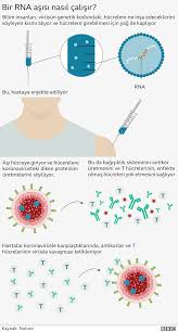Alman aşısı ne zaman yapılacak? Covid 19 Asisi Mrna Nedir Biontech Asisi Ne Kadar Etkili