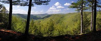 Glowing, pristine watercolors, transparent yet bold found in the hidden hill of western massachusetts. Western Mass Site 21 Chester Blandford State Forest Trailrunningsites