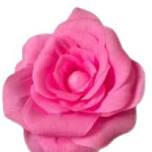 Paper Flower Making Workshop
