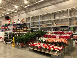 If you already have a collection of to know more about how to properly care for them, here are a few quick facts about the christmas cactus. Julie Schanzle On Twitter Tis The Season At Lowe S In Wise Va 1678 Beautiful Poinsettias In Various Sizes Christmas Cactus Wreaths And Roping For All Of Your Decorating Needs Plantpartners Sratarsky Christmas