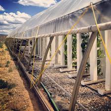 A cheap, effective, efficient way to grow in your greenhouse all year. The 4 Best Ways To Cool A Greenhouse Upstart University