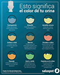 Pin De Paulo Reyes En Dietas Color De La Orina Salud Y Bienestar Consejos Para La Salud