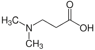 File 3 Dimethylamino Propanoic Acid Svg Wikipedia