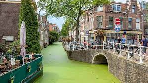 Meşruti monarşi ile yönetilen hollanda'nın başkenti amsterdam, dar kanallar boyunca sıralanan üçgen cepheli özgün evleri, gösterişli sanatı ve galerileri ile 17. Hollanda Nin Kesfedilmeyi Bekleyen Sehirleri Seyahat Haberleri
