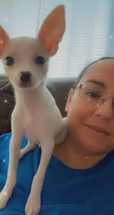 Remi's 1st Birthday Celebration