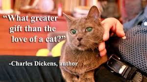 Cats lick themselves to get your scent off. 50 Famous Quotes About Cats Cattime