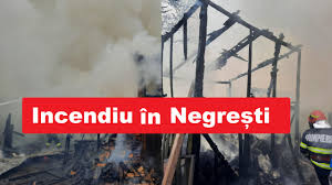 Lemn trunchi de până la 3 metri lungime data achiziției: Foto Incendiu In NegreÈ™ti La Un AdÄƒpost Pentru Animale È™i Un AdÄƒpost De Furaje Neamt24 Ro