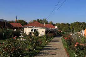 Casa de vanzare sat deleni judcluj cu priveliste minunata spre cheile turzii. Id P7156 Casa 4 Camere De Vanzare Moldovenesti Welt Imobiliare