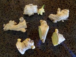 Plant one ginger plant per square foot (0.1 sq. Top 10 Tips On How To Grow Ginger Indoors