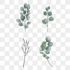Leaf Png Images Vector And Psd Files Free Download On Pngtree Flower Clipart Flower Frame Watercolor Flower Background