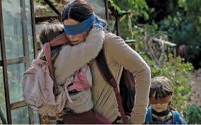 Image result for bird box images