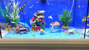 The three easiest ways to bring an aquarium theme to life are: Fish Tank Decorating Ideas Youtube