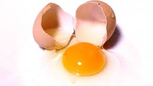 Yap, telur sangat mudah diolah ke dalam berbagai jenis masakan, . Fakta Di Balik 5 Mitos Soal Telur Yang Masih Kita Percaya Apa Saja