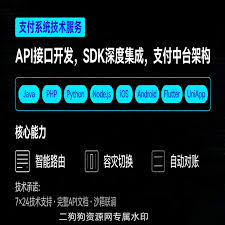 二狗狗资源中心/支付/场景/支付场景