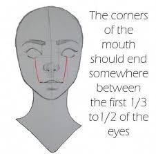 Pin By Art Ay On Craft Ernoon Drawing Reference Anatomy Drawing Drawing Tutorial