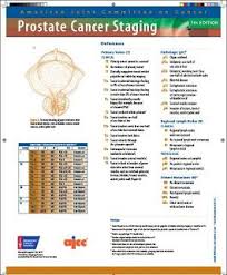 You might also be told about the tnm stage, or you may see this on your pathology report. Prostate Cancer Staging Pdf Document Mt References