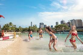 Shop the markets and designer boutiques. Brisbane Highlights And Lone Pine Cruise From Brisbane 2021