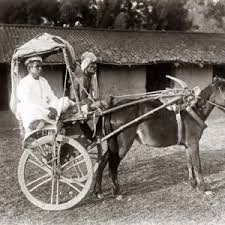 1880s India: Pony Hackney Carriage ...