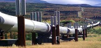 The keystone xl pipeline's developer has halted all construction on the project months after its the keystone xl pipeline would have strengthened us energy independence while supporting. Keystone Pipeline Spill Nearly 100 Times Bigger Than Originally Estimated Xl Pipeline Gas Pipeline Oil And Gas
